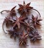 PREMIUM DRIED STAR ANISE FOR SPICES AND HERBAL TEAS / RICH FLAVOR PROFILE / 100% PURE / MADE IN VIETNAM