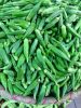 NATURE'S BEST FROZEN OKRA FOR EVERY KITCHEN / TOP QUALITY PRODUCE / MADE IN VIETNAM