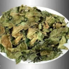 HANDPICKED DRIED CELASTRUS HINDSII / AUTHENTIC VIETNAMESE HERB / ECONOMICAL VALUE / PREMIUM QUALITY