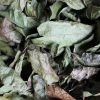 HANDPICKED DRIED CELASTRUS HINDSII / AUTHENTIC VIETNAMESE HERB / ECONOMICAL VALUE / PREMIUM QUALITY