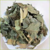 HANDPICKED DRIED CELASTRUS HINDSII / AUTHENTIC VIETNAMESE HERB / ECONOMICAL VALUE / PREMIUM QUALITY