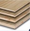 VERSATILE AND RESILIENT PLYWOOD FOR INDUSTRIAL USE / TOP-GRADE MATERIAL / MADE IN VIETNAM