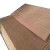 HEAVY-DUTY PLYWOOD FOR PROFESSIONAL BUILDERS / TRUSTED AND DEPENDABLE / MADE IN VIETNAM