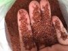 ORGANIC AND NATURAL HYGROPHILA SALICIFOLIA POWDER / FAMILY RECIPE / AFFORDABLE VALUE / MADE IN VIETNAM