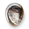 SHIMMERING AND NATURAL ABALONE SHELL / FAMILY RECIPE / AFFORDABLE VALUE / MADE IN VIETNAM