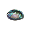 SHIMMERING AND NATURAL ABALONE SHELL / FAMILY RECIPE / AFFORDABLE VALUE / MADE IN VIETNAM