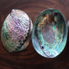 SHIMMERING AND NATURAL ABALONE SHELL / FAMILY RECIPE / AFFORDABLE VALUE / MADE IN VIETNAM