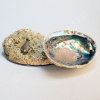 SHIMMERING AND NATURAL ABALONE SHELL / FAMILY RECIPE / AFFORDABLE VALUE / MADE IN VIETNAM