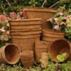 PREMIUM COCONUT FIBER PLANT POTS / SUSTAINABLE DECOR FOR GARDENING LOVERS