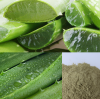 PURE AND NATURAL ALOE VERA POWDER / GENTLE CARE / AFFORDABLE VALUE / MADE IN VIETNAM