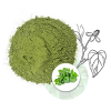 PURE GREEN FISH MINT F...