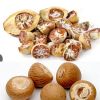 PREMIUM DRIED BETEL NUT / MADE IN VIETNAM