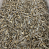 CRISP AND SAVORY DRIED ANCHOVY / FAMILY RECIPE / AFFORDABLE VALUE / MADE IN VIETNAM