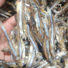 CRISP AND SAVORY DRIED ANCHOVY / FAMILY RECIPE / AFFORDABLE VALUE / MADE IN VIETNAM