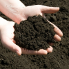 SUPERIOR EARTHWORM CASTINGS / 100% NATURAL FERTILIZER / ECO-FRIENDLY CHOICE / MADE IN VIETNAM