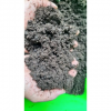 SUPERIOR EARTHWORM CASTINGS / 100% NATURAL FERTILIZER / ECO-FRIENDLY CHOICE / MADE IN VIETNAM