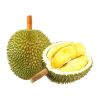 Vietnam King Durian Ne...