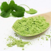 PURE AND NUTRITIOUS PENNYWORT POWDER / FAMILY RECIPE / AFFORDABLE VALUE / MADE IN VIETNAM