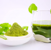 PURE AND NUTRITIOUS PENNYWORT POWDER / FAMILY RECIPE / AFFORDABLE VALUE / MADE IN VIETNAM