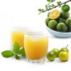 FROZEN KUMQUAT JUICE/ NATURAL CITRUS JUICE CONCENTRATE/ BULK SUPPLY