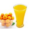 CITRUS-FLAVORED FROZEN KUMQUAT JUICE/ TART & SWEET TASTE/ BEST PRICE