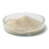 PREMIUM AGAR AGAR POWD...