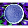 Butterfly Pea Flower Powder / Vibrant Blue / Premium Quality / Made in Vietnam