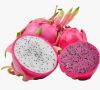 TOP EXPORT, FROZEN DRAGON FRUIT, 100% NATURAL, NO ADDITIVES, PERFECT FOR SHAKES, ICE CREAM, AND SNACKS