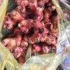 ORGANIC SOURCE, FRESH GALANGAL ROOT FOR ASIAN CUISINE, SOUP BASE, AND HEALTHY LIFESTYLE