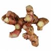 ORGANIC SOURCE, FRESH GALANGAL ROOT AS NATURAL SPICE FOR COOKING, TEA, AND HERBAL REMEDY