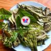 PREMIUM CELASTRUS HINDSII / LIVER HEALTH / CLEAN & PURE / VEGAN-FRIENDLY