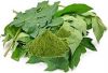 PAPAYA LEAF EXTRACT PO...