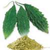 BITTER GOURD HERBAL POWDER / IMMUNE DEFENSE / WHOLE FOOD BASED / PLANT POWERED