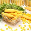 ORGANIC BABY CORN / ENERGY BOOST / CLEAN LABEL / PLANT-BASED