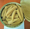 SUSTAINABLE BABY CORN ...