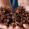 NATURAL STAR ANISE SPICE / PLANT-DERIVED / CLEAN LABEL 