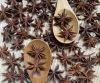 NATURAL STAR ANISE SPICE / PLANT-DERIVED / CLEAN LABEL 