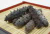 CLEAN OCEAN CUCUMBER STYLE / PURE FORM / NATURAL PROCESSING