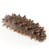 OCEAN-BASED WHOLE DRIE...