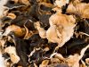 BLACK WOOD EAR MUSHROOM / DRIED NATURALLY / CLEAN LABEL / PLANT-BASED PRODUCT