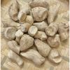 AUTHENTIC SHIITAKE STEM / METABOLIC SUPPORT / CLEAN LABEL / PLANT-BASED