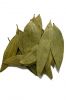 AROMATIC BAY LEAVES / PLANT-DERIVED / CLEAN INGREDIENT / NON-GMO