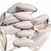 WILD HARVESTED CUTTLEB...