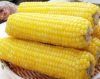 IQF SWEET CORN / PLANT...