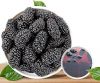 DEHYDRATED MULBERRY FR...