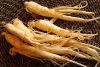 DANG SHEN / PURE ROOT ...