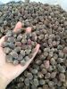 DRIED MYRTLE BERRY POW...