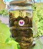 WILD GRAPE LEAVES / PR...