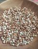 PREMIUM COIX SEED / SK...
