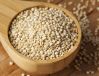 NATURAL COIX SEED / GU...